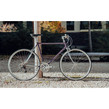 Siech Urban stadsfiets met 16 versnellingen