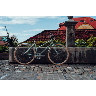 Siech City unisex stadsfiets met 16 versnellingen