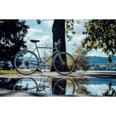 Siech Classic stadsfiets met 8 versnellingen