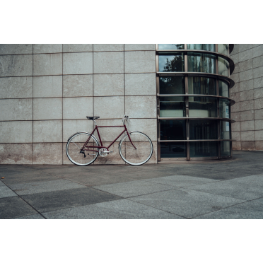 Siech Classic stadsfiets met 8 versnellingen