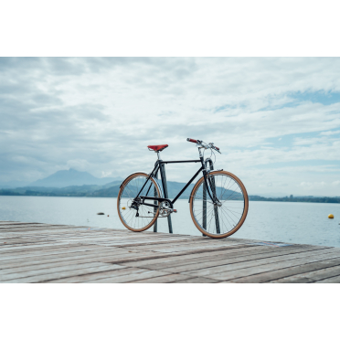 Siech Classic stadsfiets met 8 versnellingen