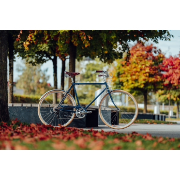 Siech Comfort stadsfiets met 8 versnellingen