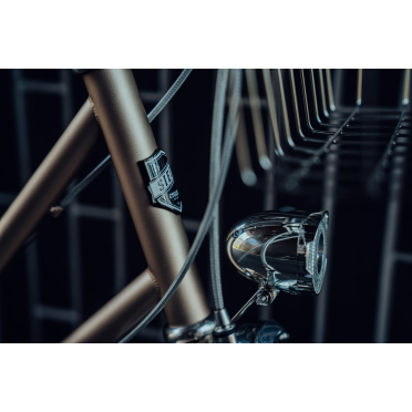 Siech Comfort unisex stadsfiets met 8 versnellingen