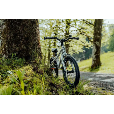 16 Siech kinderfiets voor 3-6 jarigen