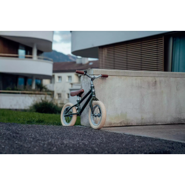 12 Siech kinderfiets voor 2-5 jarigen