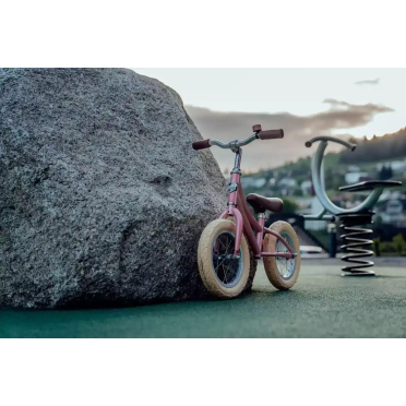 12 Siech kinderfiets voor 2-5 jarigen