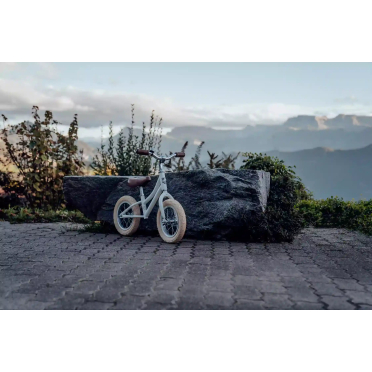 12 Siech kinderfiets voor 2-5 jarigen