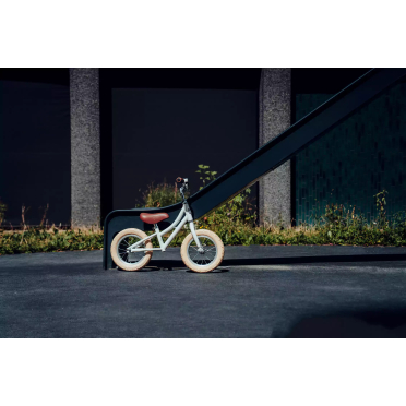 12 Siech kinderfiets voor 2-5 jarigen