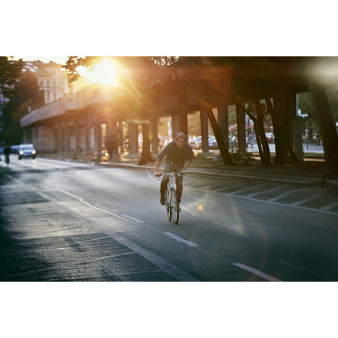 Fixiefiets / Singlespeed Schindelhauer Siegfried