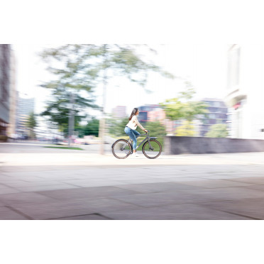 Schindelhauer Gustav Stadsfiets