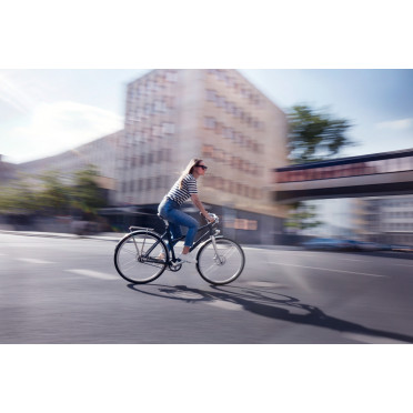 Schindelhauer Frieda stadsfiets