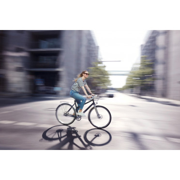 Schindelhauer Frieda stadsfiets