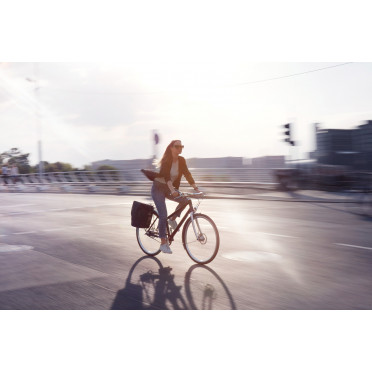 Schindelhauer Frieda stadsfiets