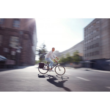 Schindelhauer Friedrich stadsfiets