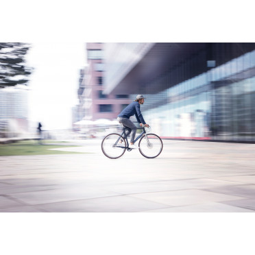 Schindelhauer Wilhelm Pinion C-lijn fiets