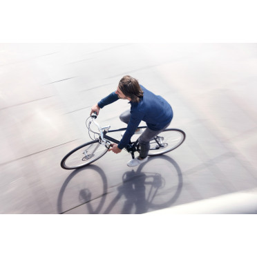 Schindelhauer Wilhelm Pinion C-lijn fiets