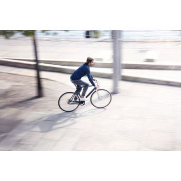 Schindelhauer Wilhelm Pinion C-lijn fiets