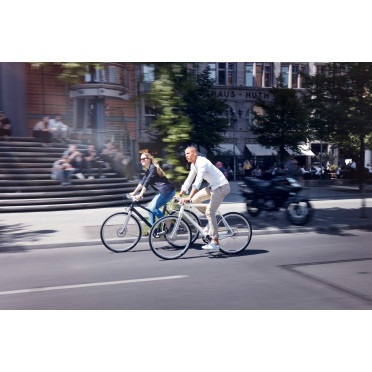 Schindelhauer Wilhelm Pinion P-line fiets