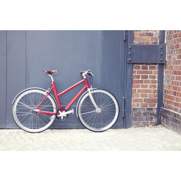 Curana spatborden voor Schindelhauer fietsen