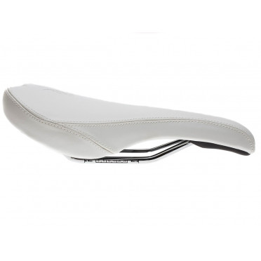 BLB Curve dameszadel