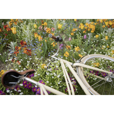 InFiné Cycles Flâneuse Stadsfiets - Crème