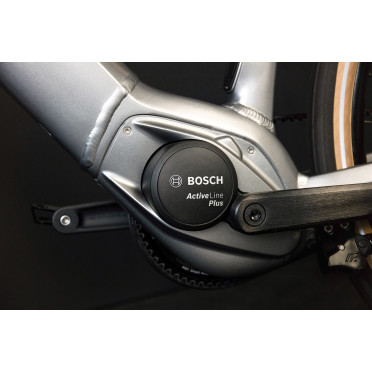 Schindelhauer Heinrich I Singlespeed elektrische stadsfiets