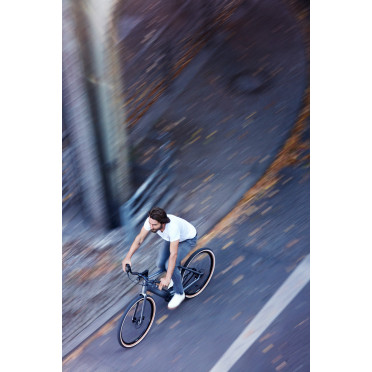 Schindelhauer Heinrich I Singlespeed elektrische stadsfiets