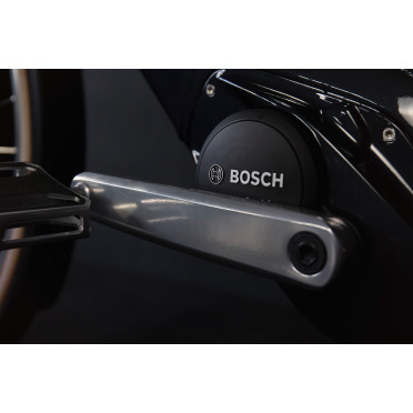 Schindelhauer Heinrich elektrische stadsfiets