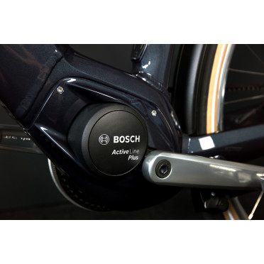 Schindelhauer Heinrich elektrische stadsfiets