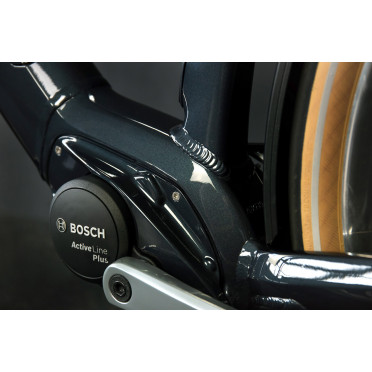 Schindelhauer Heinrich elektrische stadsfiets