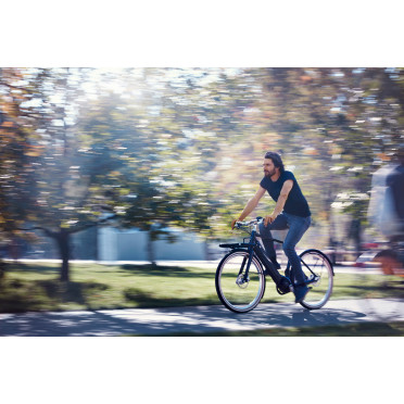 Schindelhauer Heinrich elektrische stadsfiets