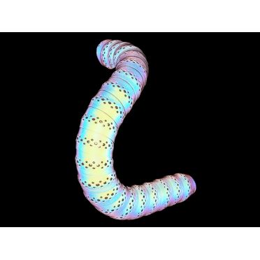 BLB Supreme Pro reflecterend stuurlint