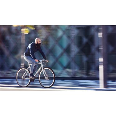 Schindelhauer Wilhelm Pinion P-line fiets