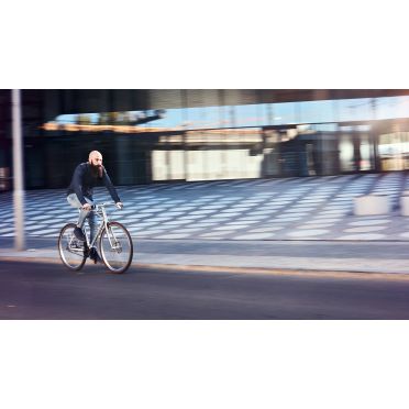 Schindelhauer Wilhelm Pinion P-line fiets