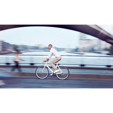 Schindelhauer Wilhelm Pinion P-line fiets