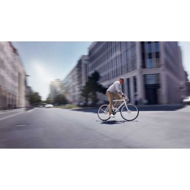 Schindelhauer Wilhelm Pinion P-line fiets