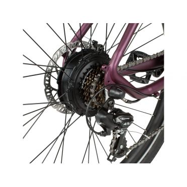 Aventon Pace 250 elektrische fiets met instap