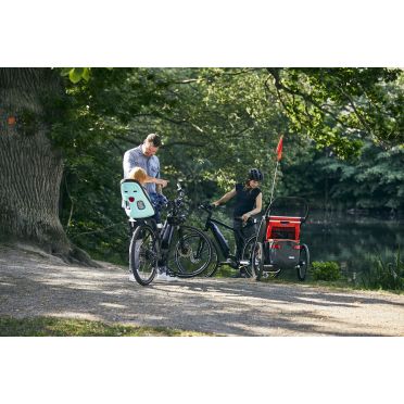 Thule - Yepp Nexxt Maxi - Rear Rack Mounted Child Seat