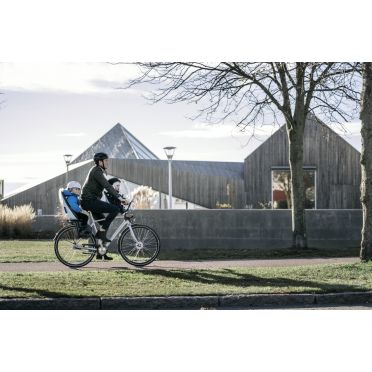 Thule - Yepp Nexxt Maxi - Rear Rack Mounted Child Seat