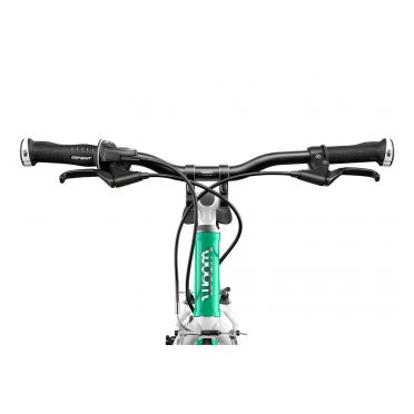 Kinderfiets 7 t/m 11 jaar Woom 5