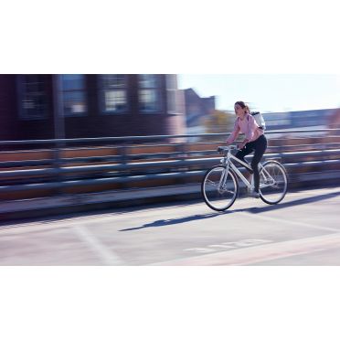 Schindelhauer Frieda stadsfiets