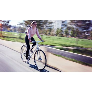 Schindelhauer Frieda stadsfiets