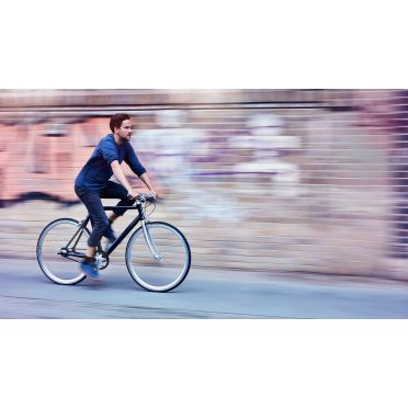 Schindelhauer Ludwig XI stadsfiets