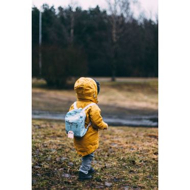 Bookman Blue Bird-reflector