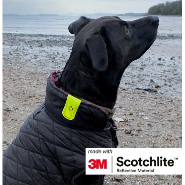 Salzmann 4 LED magnetische clip