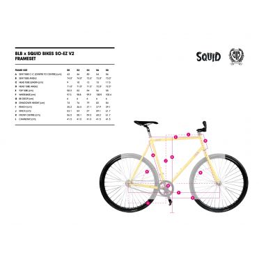 BLB x Squid Bikes SO-EZ Ed gecoate Tracklocross-framekit