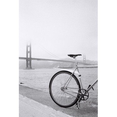 MUSGUARD Oprolbaar achterspatbord