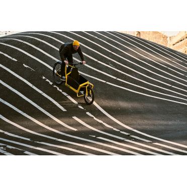 Hagen Flagship Cargo bakfiets