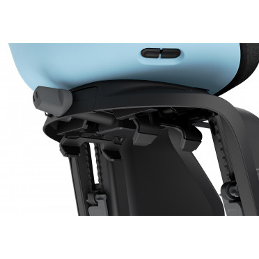 Thule Yepp Nexxt 2 Maxi kinderfietsstoeltje