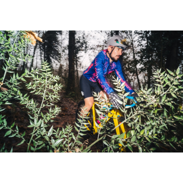 Cinelli King Zydeco gravelbike